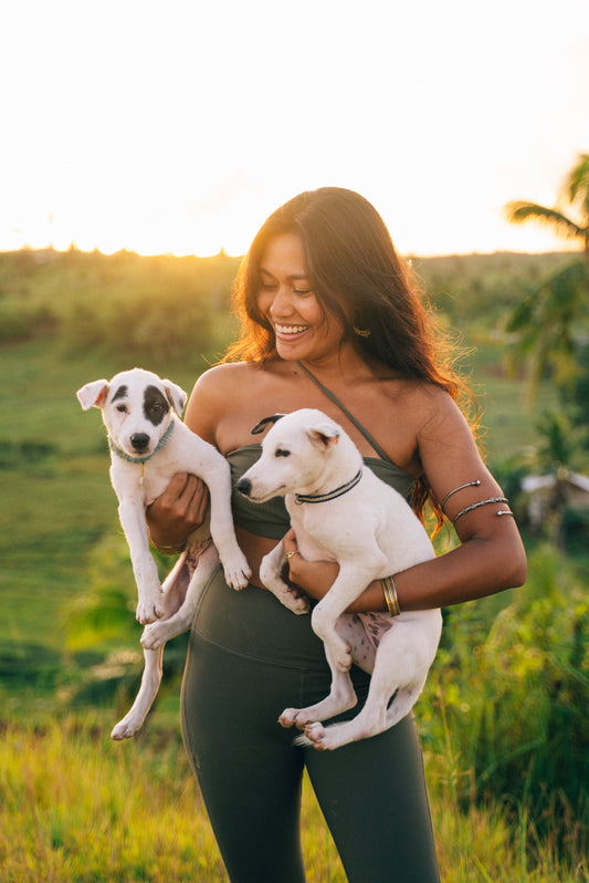 Paws in Motion: Run For A Cause, Spay/Neuter in Siargao Island